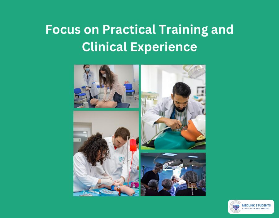 Focus on Practical Training and Clinical Experience