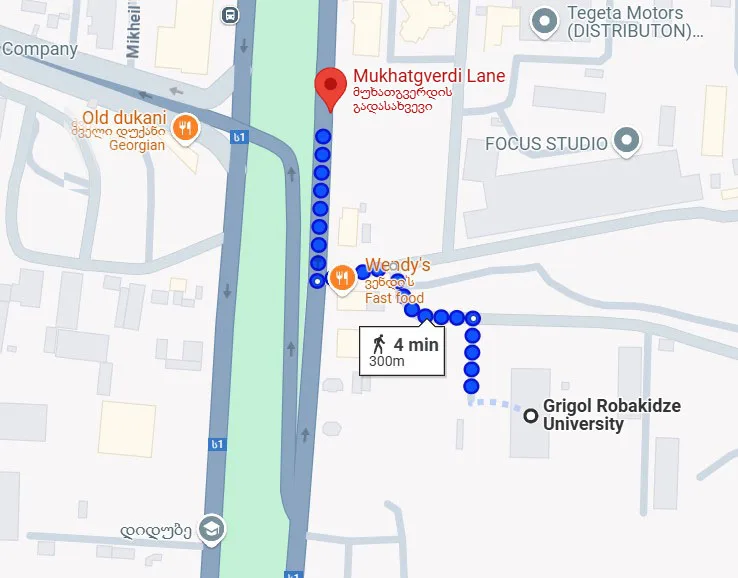 Grigol Robakidze University School of Medicine To Mukhatgverdi Lane
